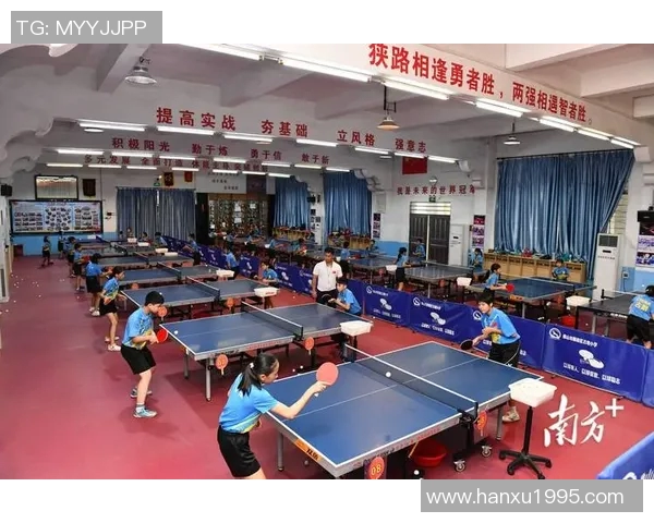 深圳乒乓球队的训练与竞技状态揭秘乒乓球巨献带你走进乒乓世界